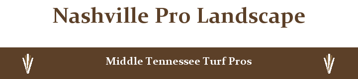 Nashville Pro Landscape