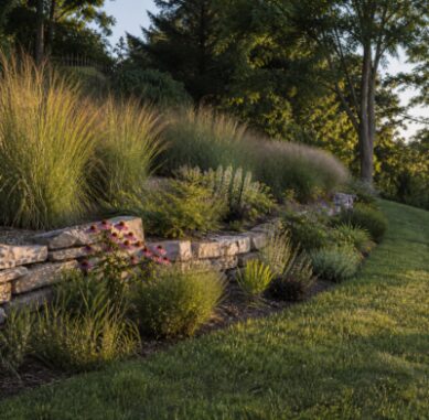 Nashville Pro Landscape Editorial Team, founder of Nashville Pro Landscape